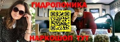 гидропоника Пыть-Ях