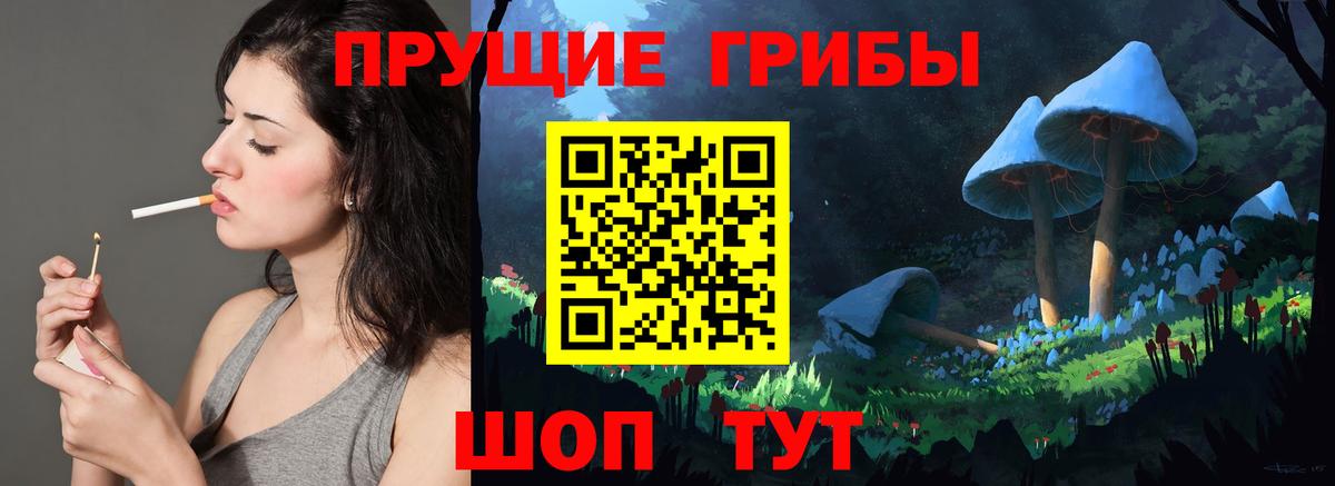Сосновый Бор  Псилоцибиновые грибы мицелий  Вход с VPN 